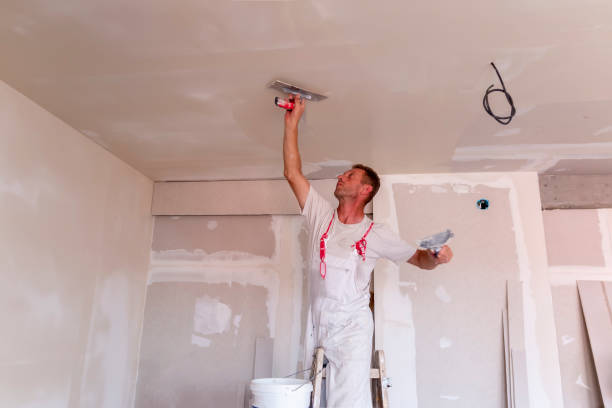 Best Drywall Installation  in Combe, LA